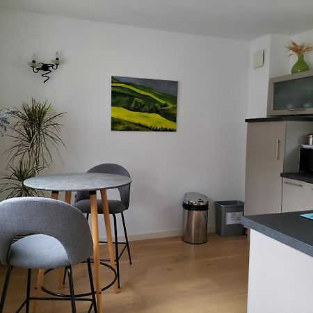 אורליאן Appartement Salamandre מראה חיצוני תמונה