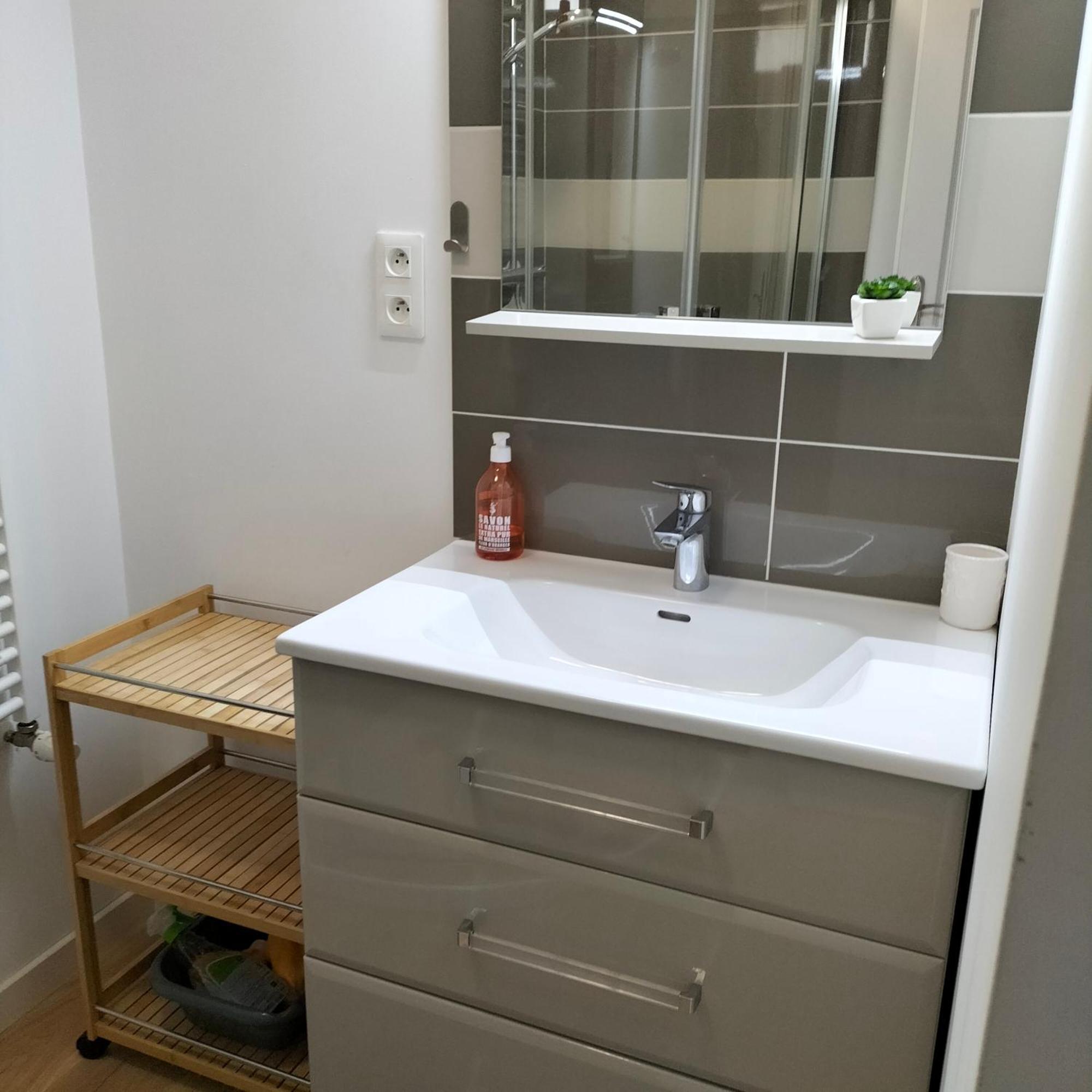 אורליאן Appartement Salamandre מראה חיצוני תמונה