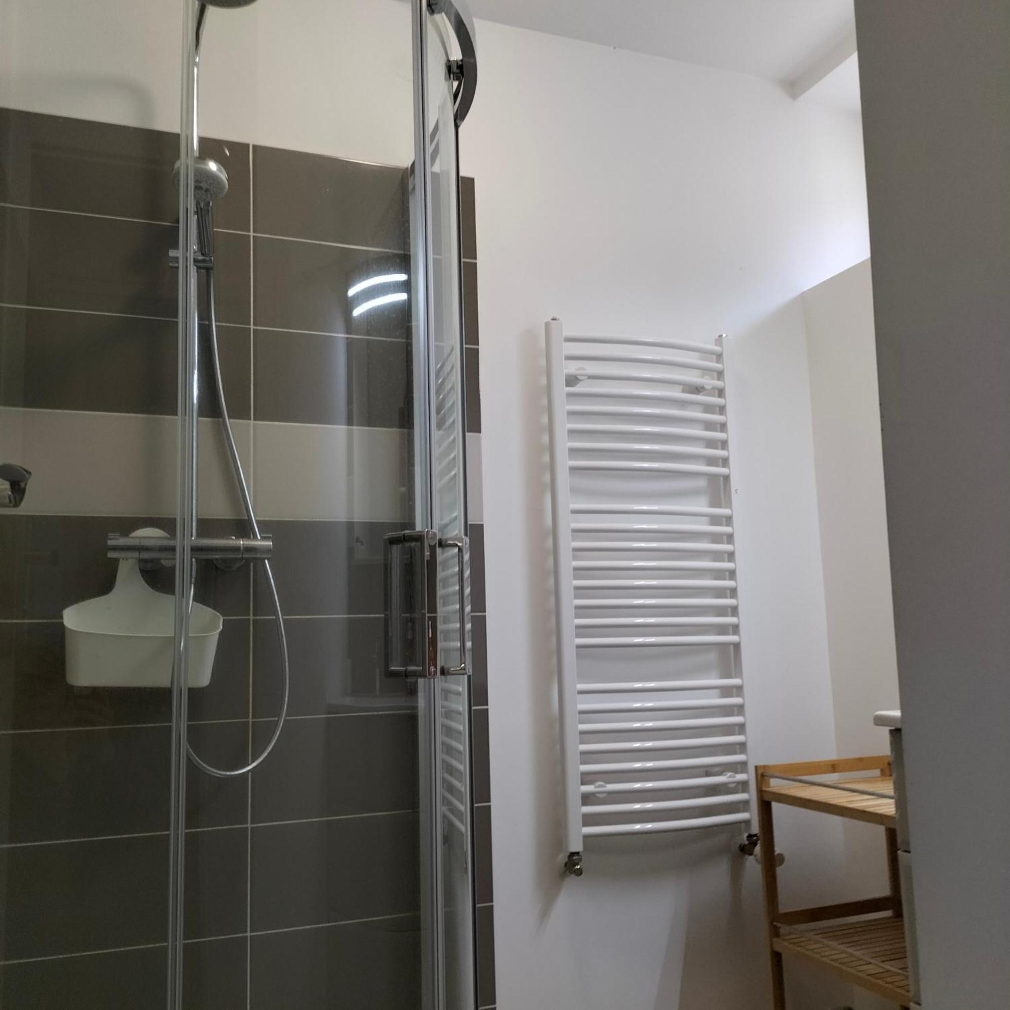 אורליאן Appartement Salamandre מראה חיצוני תמונה